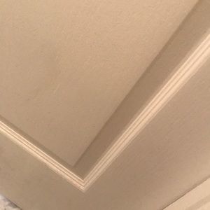 Meet your Posher, Dory